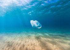 A plastic bag drifts in the clear blue ocean as a result of human pollution. Perfect for ocean conservation theme. (This bag was collected and taken out of the ocean)